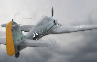 二战福克-沃尔夫强击机,飞机