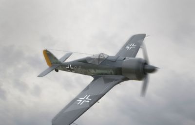 二战福克-沃尔夫强击机,飞机