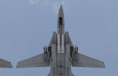 F14A战斗机,8套涂装