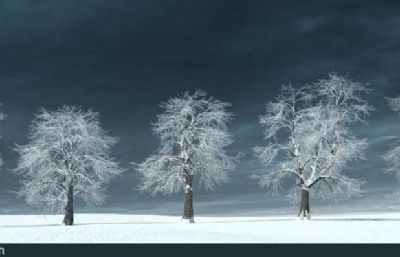 冬季森林树木,雪景下的大树3dmax模型组合