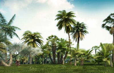 各种棕榈树,椰子树等热带树木合集3dmax模型(网盘下载)
