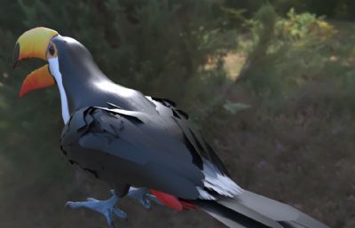 鵎鵼,巨嘴鸟3dmax模型