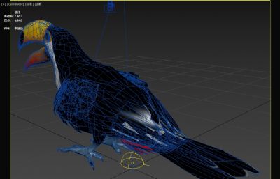 鵎鵼,巨嘴鸟3dmax模型