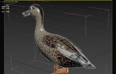印度斑嘴鸭3dmax模型