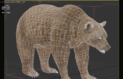 叙利亚棕熊3dmax模型