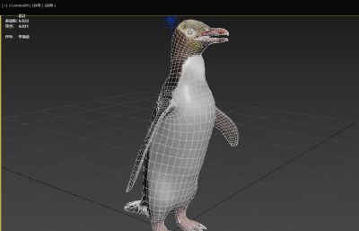 黄眼企鹅3dmax模型
