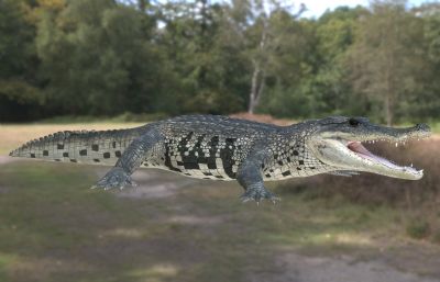 墨西哥鳄鱼3dmax模型