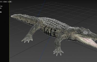 墨西哥鳄鱼3dmax模型