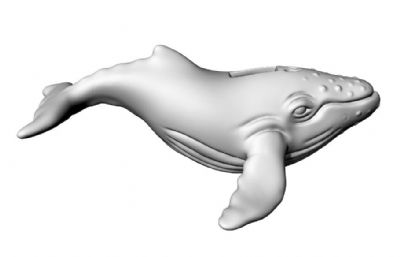 驼背鲸存钱罐3D模型