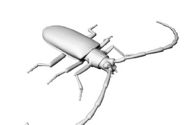 长角甲虫