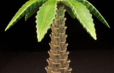 桌面植物-棕榈树