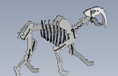 剑齿虎骨架拼图