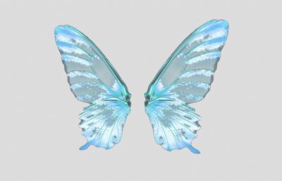 蝴蝶翅膀,水晶翅膀,精灵翅膀