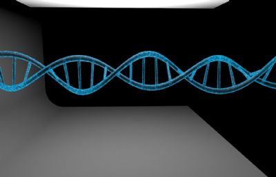 DNA结构C4D模型