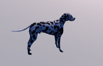 猎犬,斑点狗FBX模型