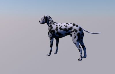 猎犬,斑点狗FBX模型