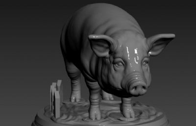 猪-展览模型