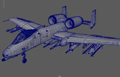 A10疣猪攻击机,空军战斗机