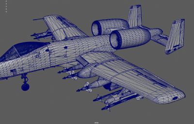 A10疣猪攻击机,空军战斗机