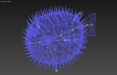 写实河豚,刺豚,有绑定/4K贴图