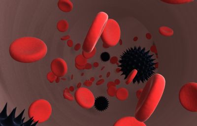 血管里的红细胞,血小板,病毒max模型