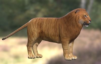 虎狮兽3dmax模型