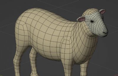 绵羊blender模型