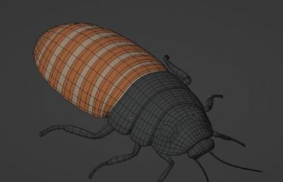 蟑螂blender模型