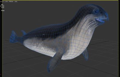 南极罗斯海豹3dmax模型