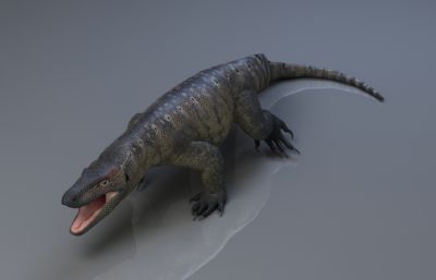 科摩多巨蜥,鬣蜥max,fbx模型