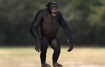非洲黑猩猩3dmax模型