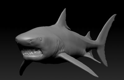 虎鲨高模,鲨鱼zbrush,obj模型