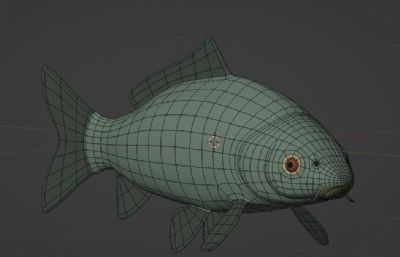 鲤鱼blender模型