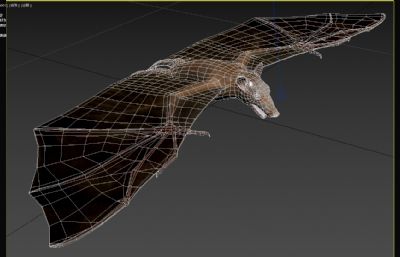 冈比亚肩章果蝠,冈比亚颈囊果蝠3dmax模型