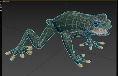 树蛙两栖生物3dmax模型