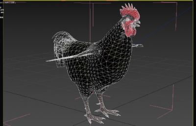 大公鸡/黑公鸡/家鸡3dmax模型