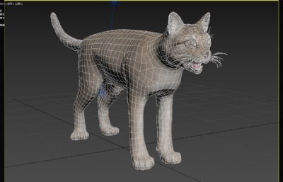 孟加拉猫,写实动物3dmax模型