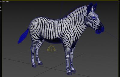 格雷维斑马,世界上最大的马科动物3dmax模型