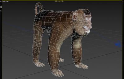 南方猪尾猕猴3dmax模型