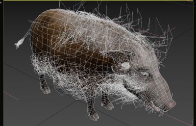 非洲灌丛野猪3dmax模型