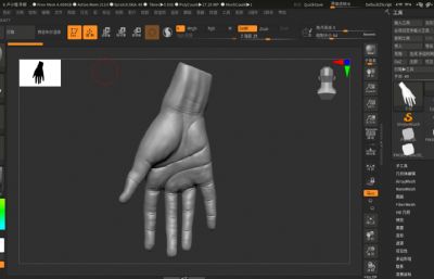 手部 手掌zbrush模型