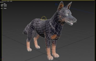 澳大利亚牧牛犬3dmax模型