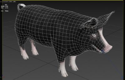 巴克夏猪3dmax模型