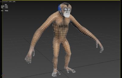 北白颊长臂猿3dmax模型