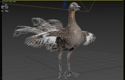 华丽琴鸟3dmax模型