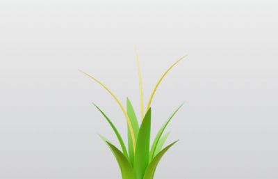 龙草植物3D图标blender模型