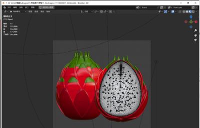 白肉火龙果blender模型