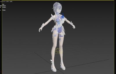 芽衣始源律者泳装3dmax模型