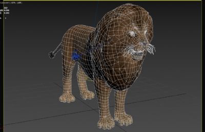 写实狮子动物3dmax模型