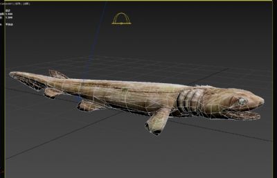 铠鲨动物标本3dmax模型